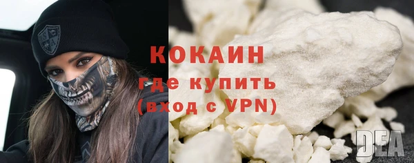 дурь Пересвет