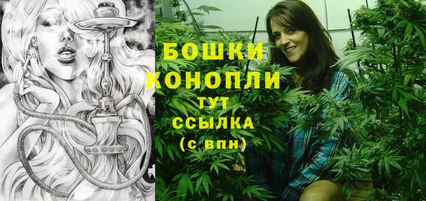 дурь Пересвет