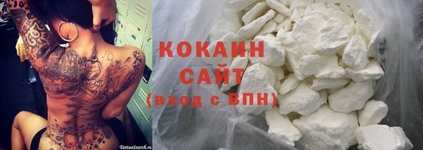 дурь Пересвет
